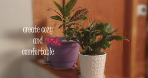 homestead houseplants - hygge lifestyle