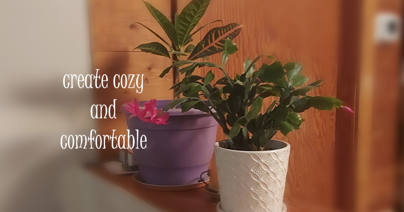homestead houseplants - hygge lifestyle
